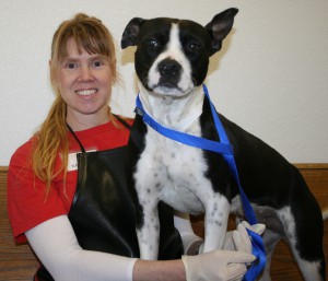 Kathryn Panko Volunteer of the Month