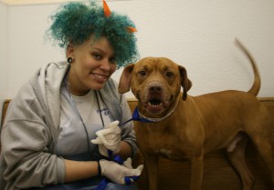 Employee of the Month March 2013