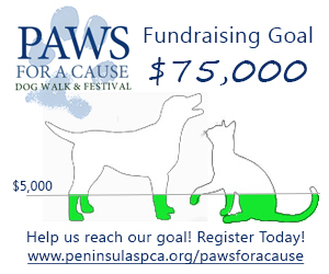 Paws Fundraising Update