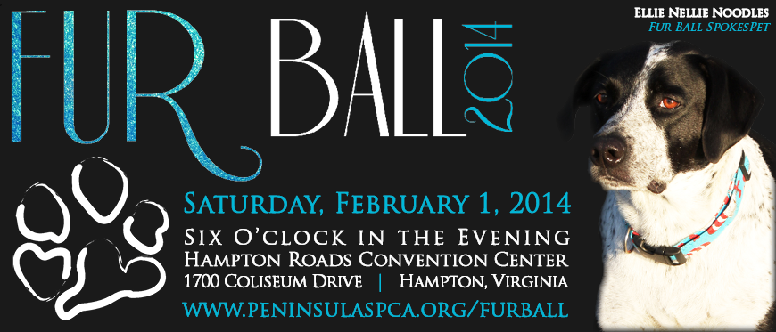 main website banner2