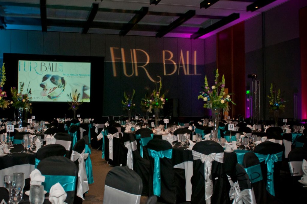 The 2014 Fur Ball