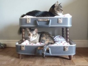 cat furniture