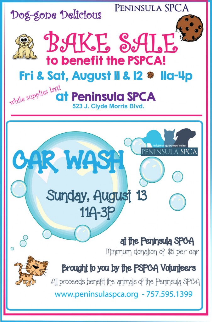 Bake Sale - August 2017